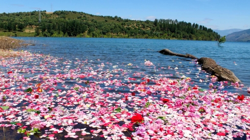 Ofrenda Pantano de Bárcena (35)