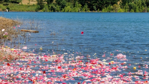 Ofrenda Pantano de Bárcena (32)