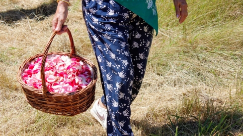 Ofrenda Pantano de Bárcena (26)