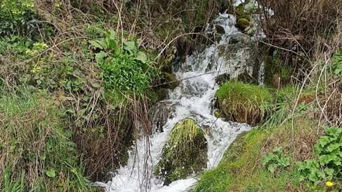Fuente de la Lechera en Cuevas del Sil | MITECO