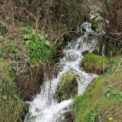 Fuente de la Lechera en Cuevas del Sil | MITECO