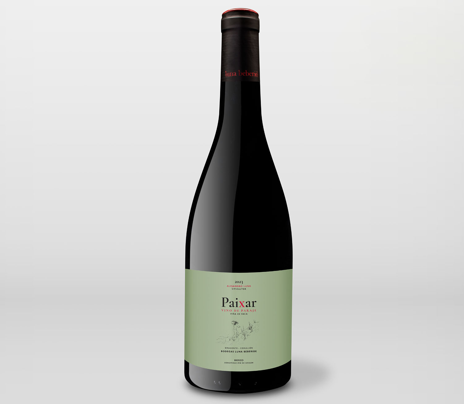 vino paixa bierzo