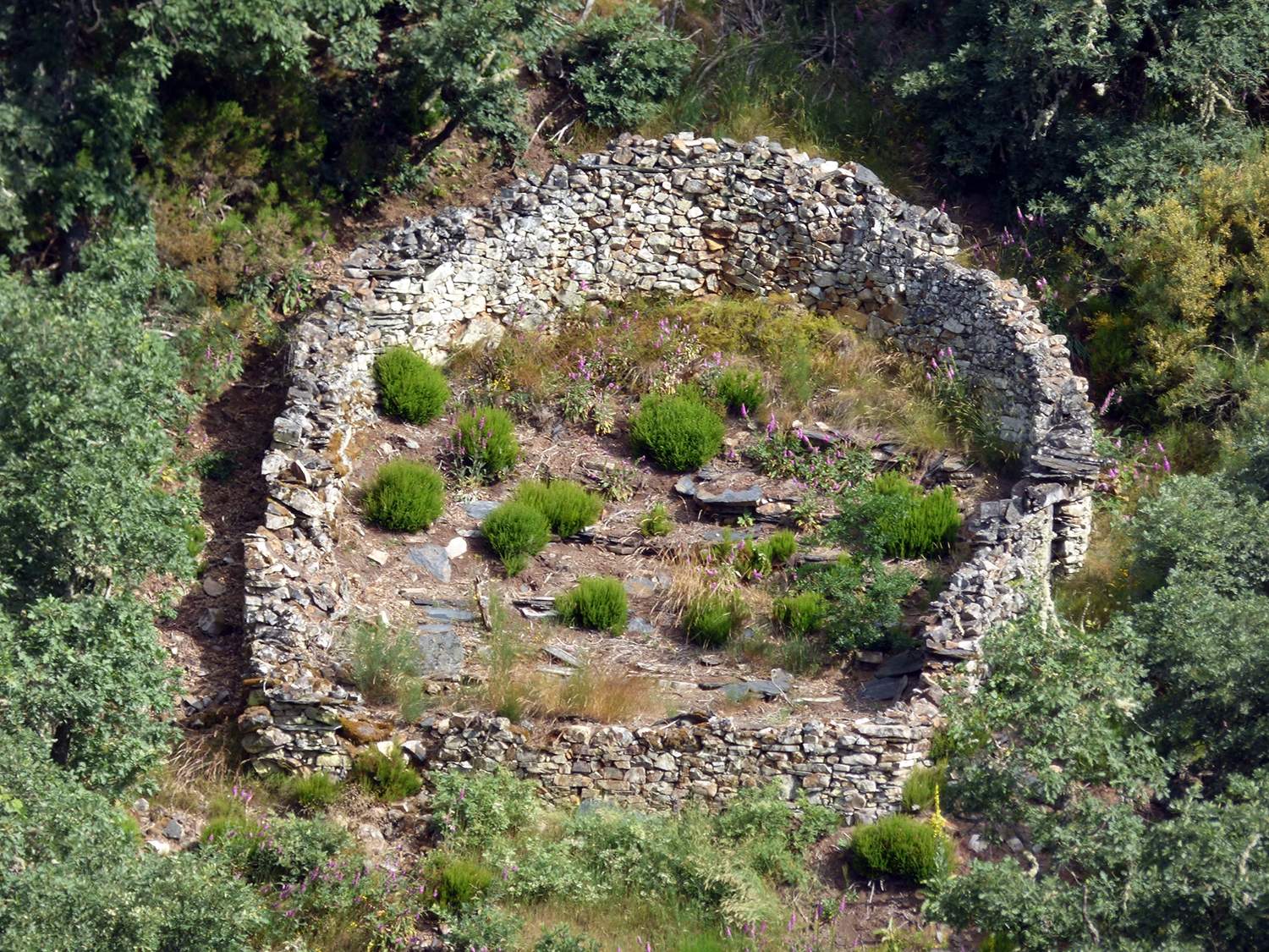 Cortines de Fonfría 2