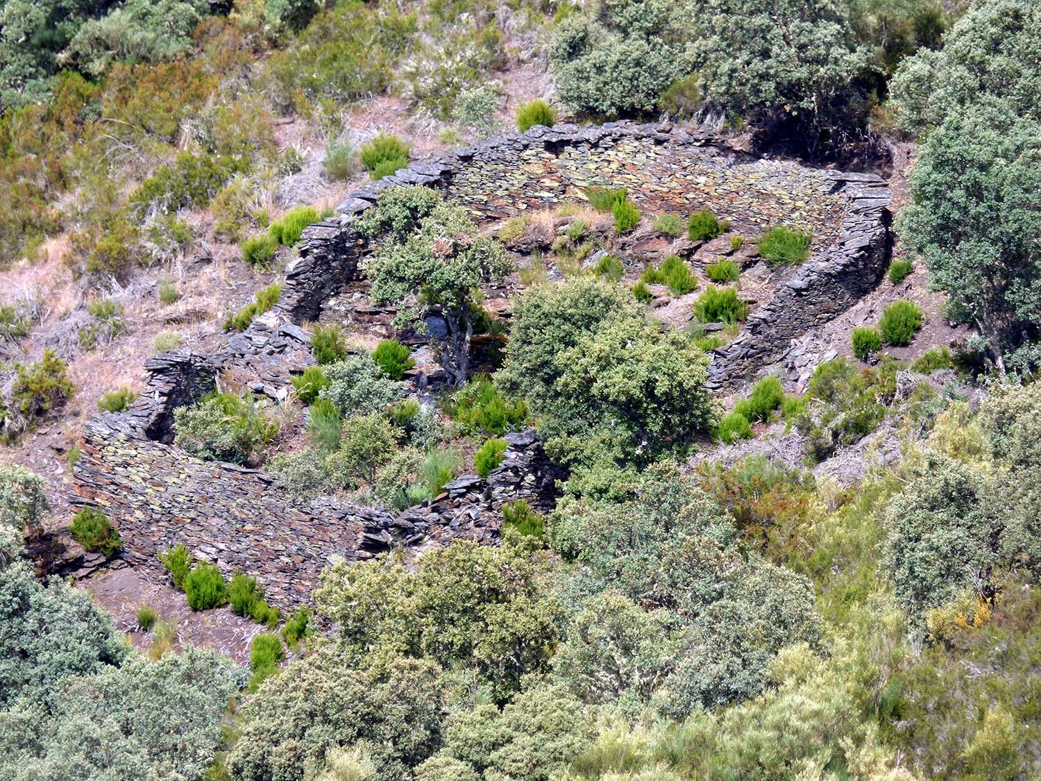 Cortines de Fonfría 3