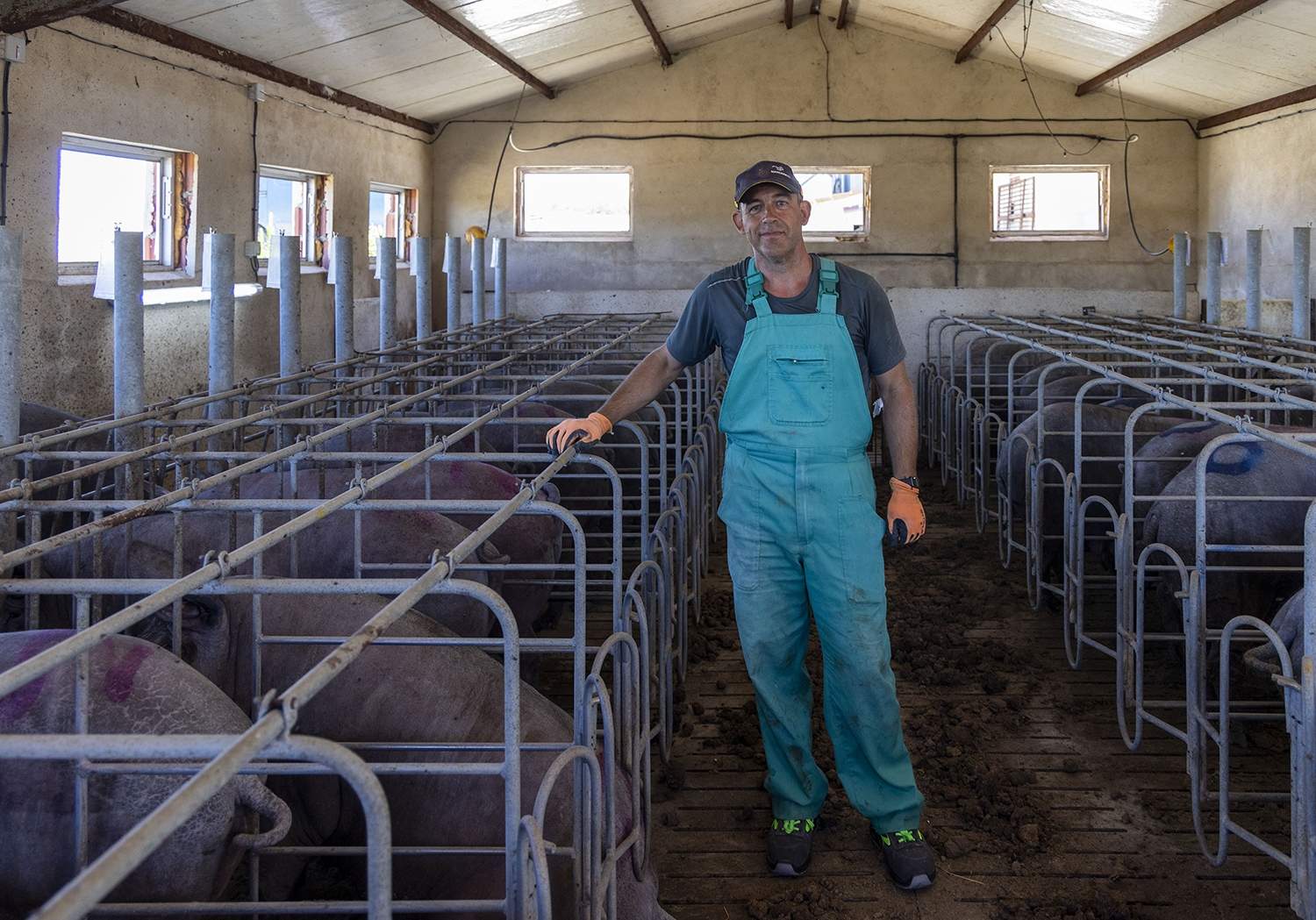Susana Martín / ICAL. Bernardo García, joven ganadero en su explotación de la provincia de Salamanca