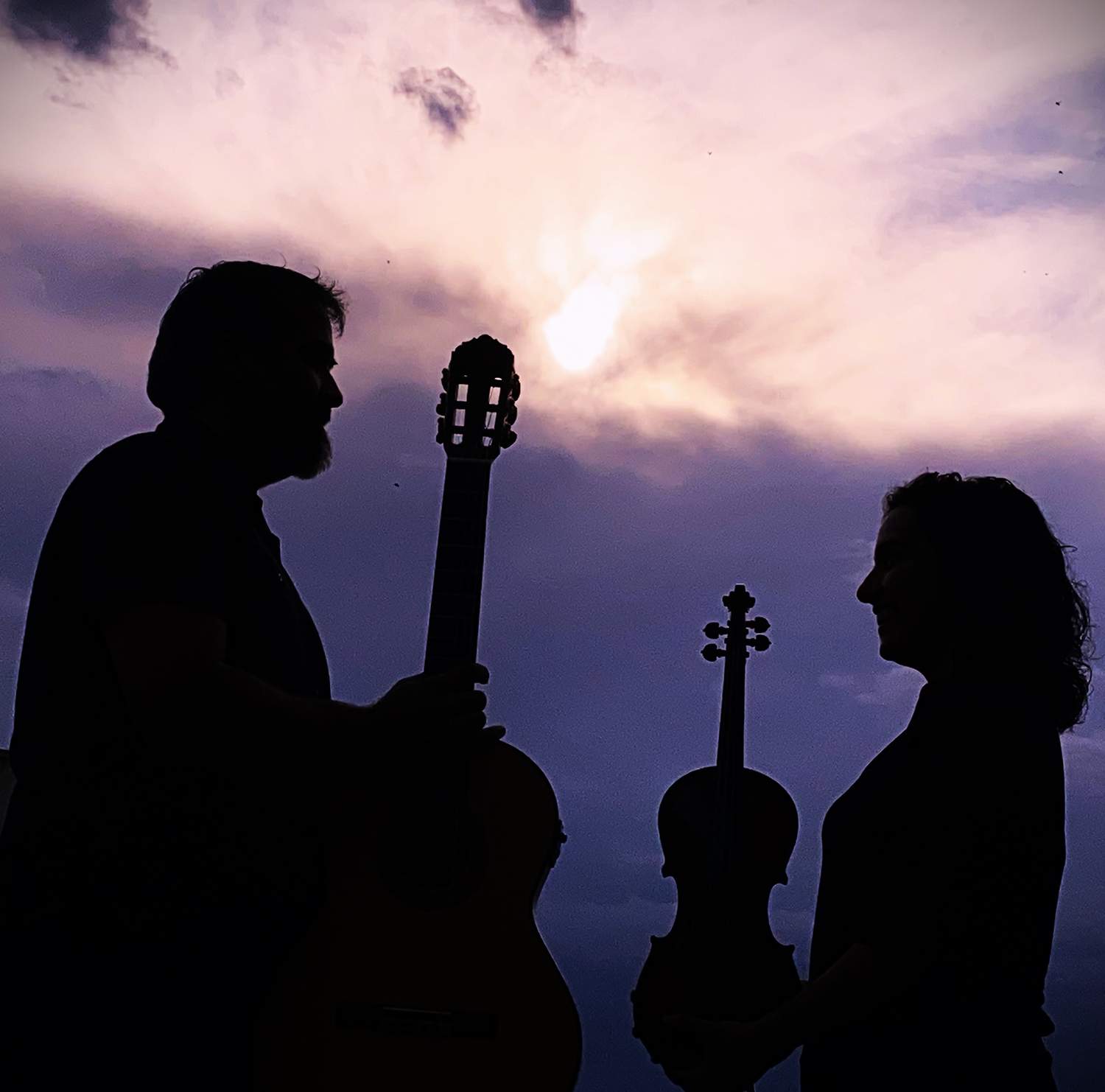 corteza de encina corteza de encina