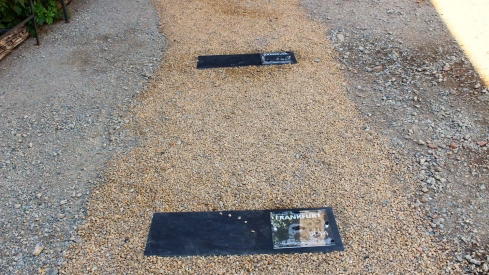 Inauguración del Jardín Romántico de Villafranca del Bierzo (5)