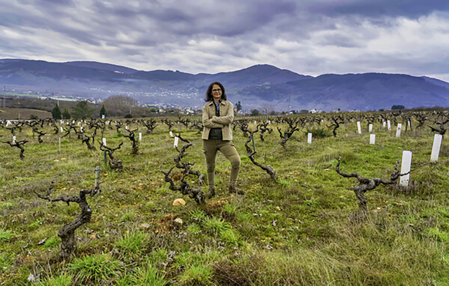 Consuelo Ysart, presidenta de 'Bierzo Enoturismo' | Consuelo Ysart, presidenta de 'Bierzo Enoturismo' |