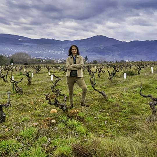 Consuelo Ysart, presidenta de 'Bierzo Enoturismo' Consuelo Ysart, presidenta de 'Bierzo Enoturismo'