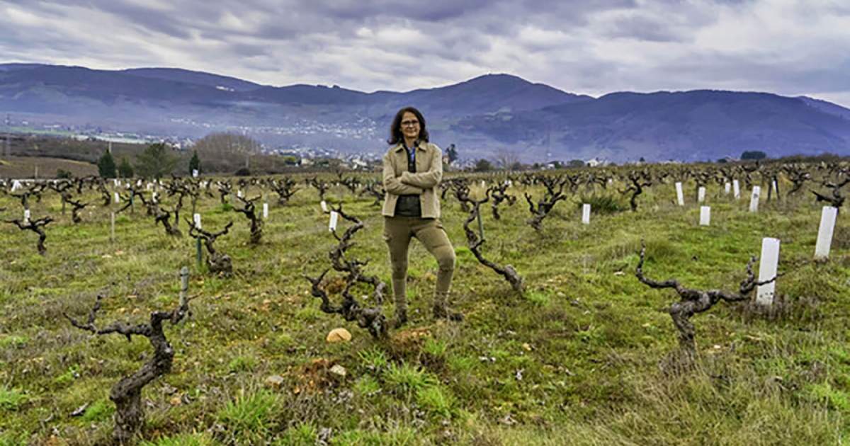 Riesgo de disolución de Bierzo Enoturismo por problemas de financiación