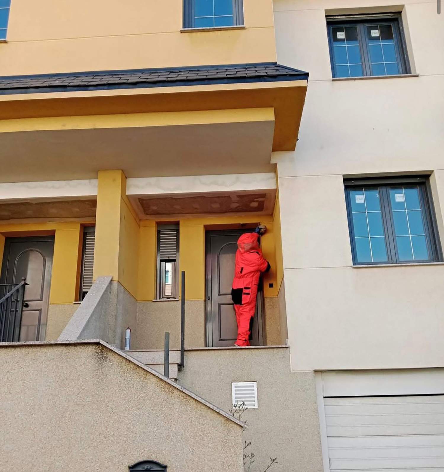 avispa asiatica toreno