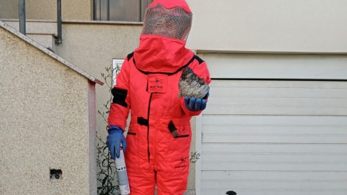 Retirado un nido de avispa asiática en las inmediaciones de una vivienda de Toreno