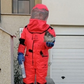 Retirado un nido de avispa asiática en las inmediaciones de una vivienda de Toreno