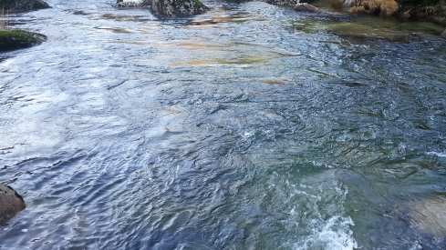 La CHMS adjudica por más de 550.000 euros las obras de recuperación del arroyo Vega del Rey en Cacabelos. Cedidas por CHMS 