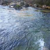 La CHMS adjudica por más de 550.000 euros las obras de recuperación del arroyo Vega del Rey en Cacabelos. Cedidas por CHMS 