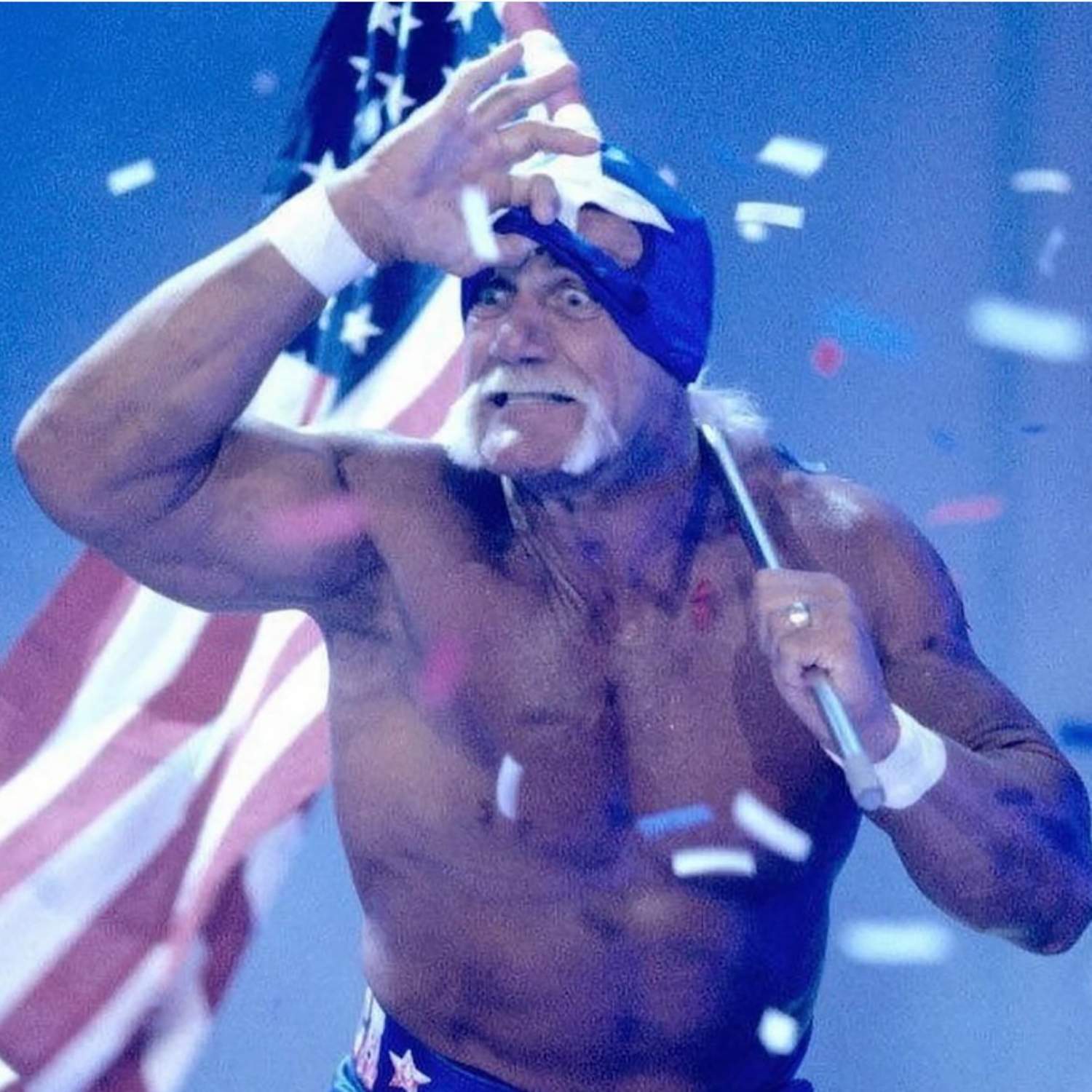 hulk hogan