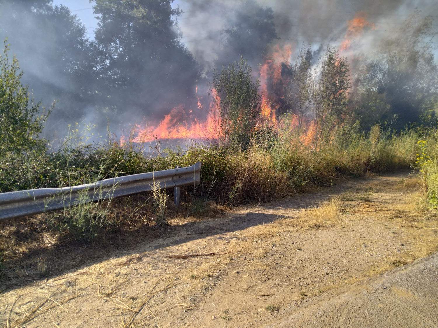 Incendio forestal en Cacabelos