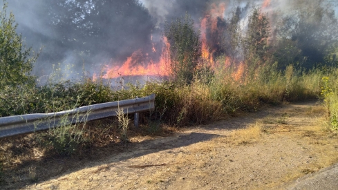 Incendio forestal en Cacabelos | Declarada la alerta de riesgo de incendios forestales en toda Castilla y León por la próxima ola de calor 