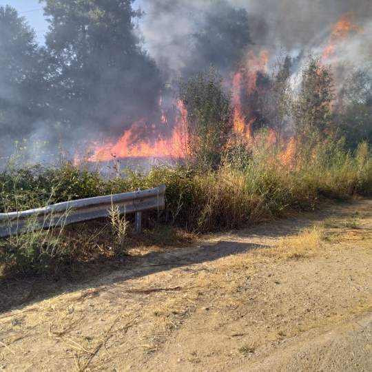 Incendio forestal en Cacabelos | Declarada la alerta de riesgo de incendios forestales en toda Castilla y León por la próxima ola de calor Incendio forestal en Cacabelos | Declarada la alerta de riesgo de incendios forestales en toda Castilla y León por la próxima ola de calor