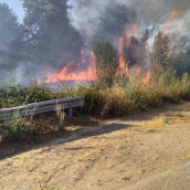 Incendio forestal en Cacabelos | Declarada la alerta de riesgo de incendios forestales en toda Castilla y León por la próxima ola de calor 