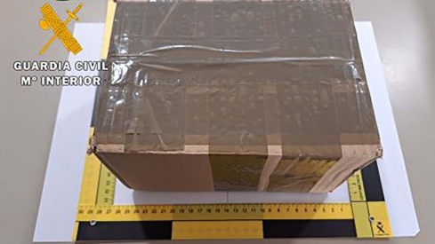 Detenido en León tras recibir un paquete con marihuana