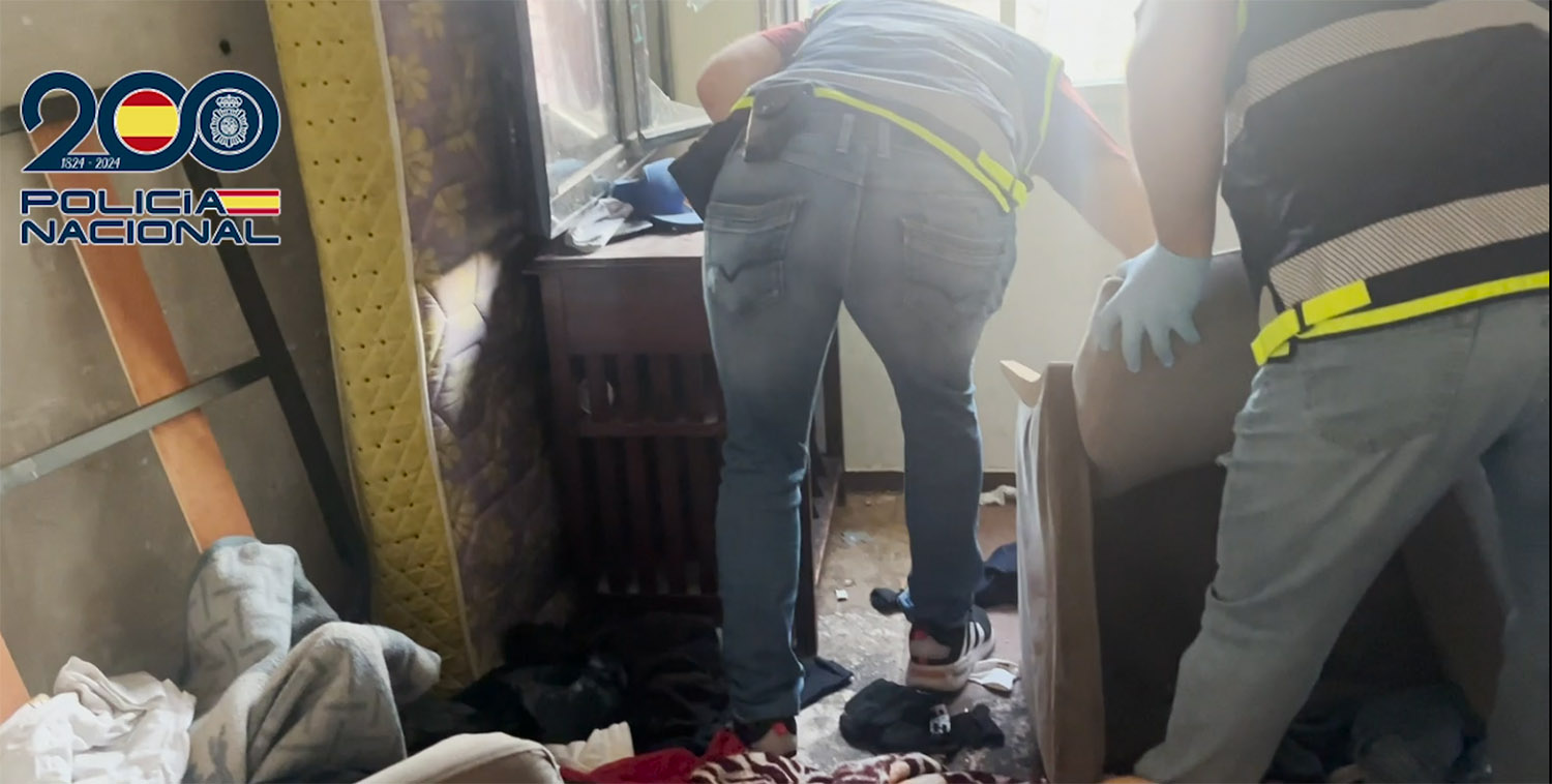 Dominicans Dont Play