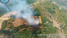 Controlado un incendio forestal en Corullón