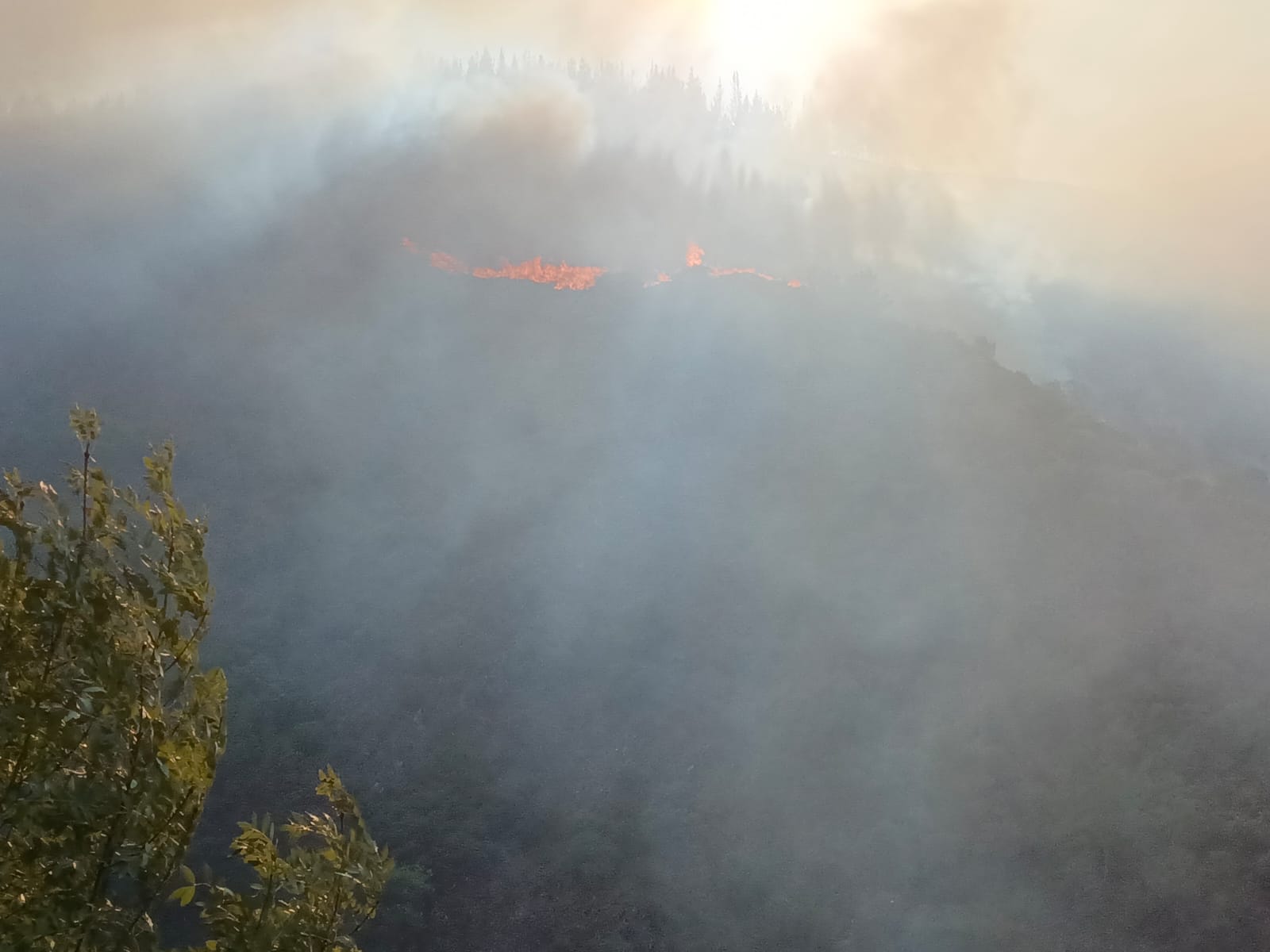 Incendio Villafranca del Bierzo (4)