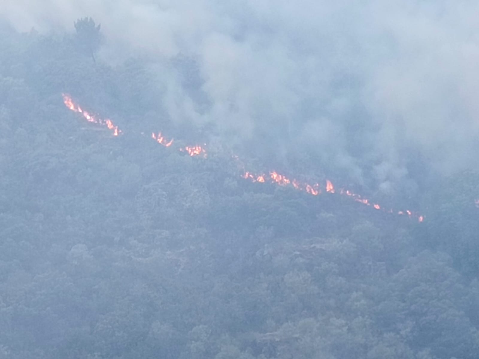 WhatsApp Image 2025 07 28 at 20.13.02