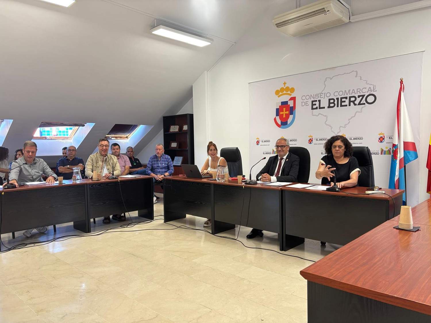 Imagen de un pleno del Consejo Comarcal del Bierzo 