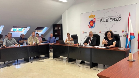 Imagen de un pleno del Consejo Comarcal del Bierzo 
