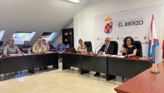Imagen de un pleno del Consejo Comarcal del Bierzo 