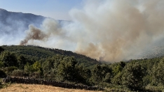 Fallece un bombero que se dirigía al incendio de Mombeltrán en un accidente de tráfico en El Hornillo (Ávila). ICAL 