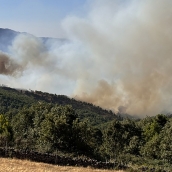 Fallece un bombero que se dirigía al incendio de Mombeltrán en un accidente de tráfico en El Hornillo (Ávila). ICAL 