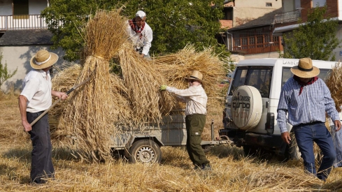 César Hornija  ICAL. VI Malla popular en Corullón (1)