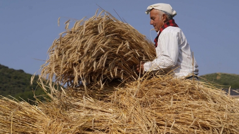 César Hornija  ICAL. VI Malla popular en Corullón (8)