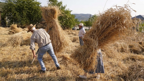 César Hornija  ICAL. VI Malla popular en Corullón (9)