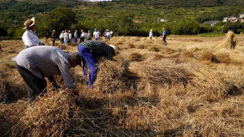 César Hornija  ICAL. VI Malla popular en Corullón (10)