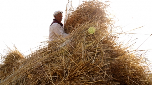 César Hornija  ICAL. VI Malla popular en Corullón (11)
