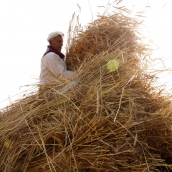 César Hornija  ICAL. VI Malla popular en Corullón (11)