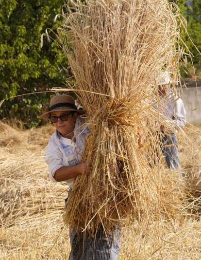 César Hornija  ICAL. VI Malla popular en Corullón (13)