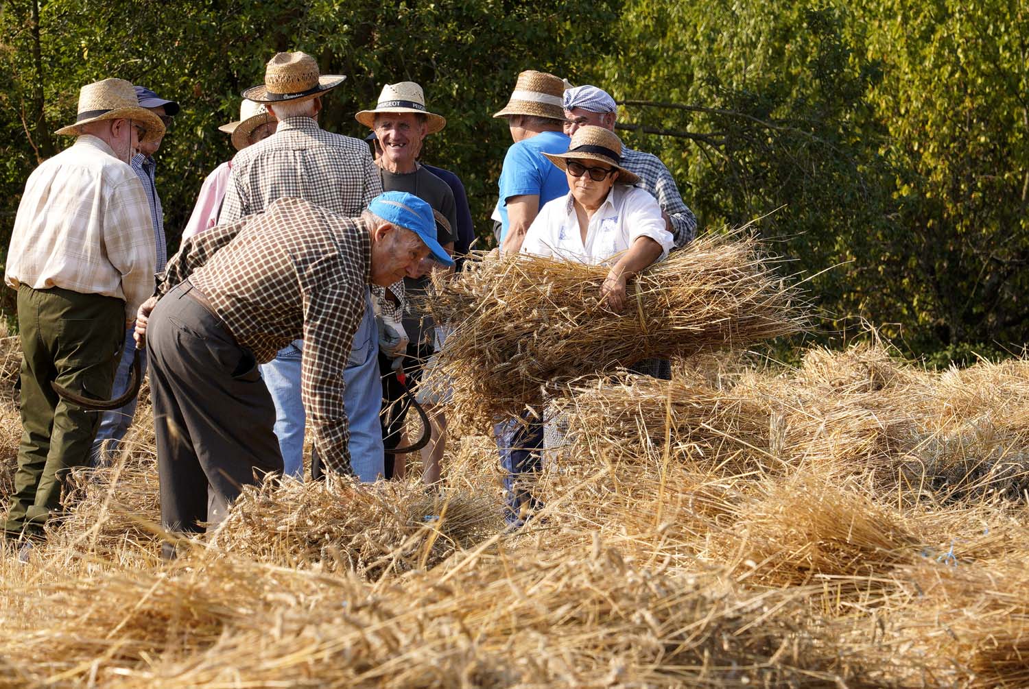 César HornijaICAL. VI Malla popular en Corullón (15)