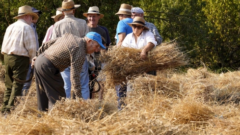 César Hornija  ICAL. VI Malla popular en Corullón (15)