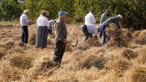 César Hornija  ICAL. VI Malla popular en Corullón (16)