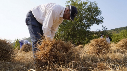 César Hornija  ICAL. VI Malla popular en Corullón (17)