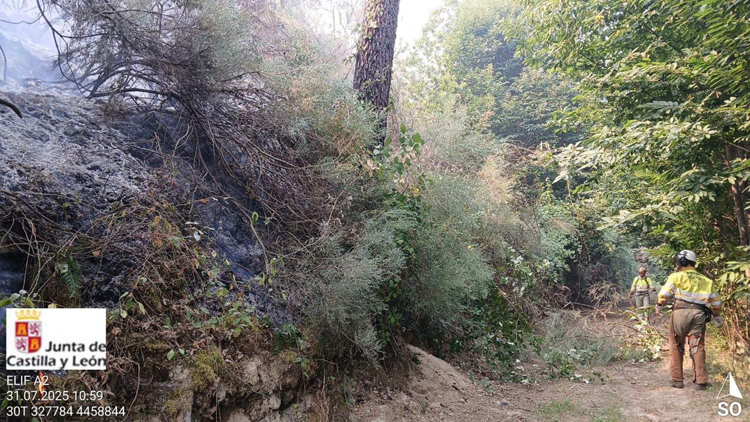 La Junta estima una superficie calcinada de 2.262 hectáreas en el incendio del sur de Ávila