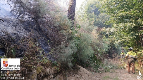 La Junta estima una superficie calcinada de 2.262 hectáreas en el incendio del sur de Ávila