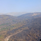 Baja a nivel 0 la situación operativa en la Comunidad dada la mejoría en el escenario global de incendios | Foto: Naturaleza Castilla y León 