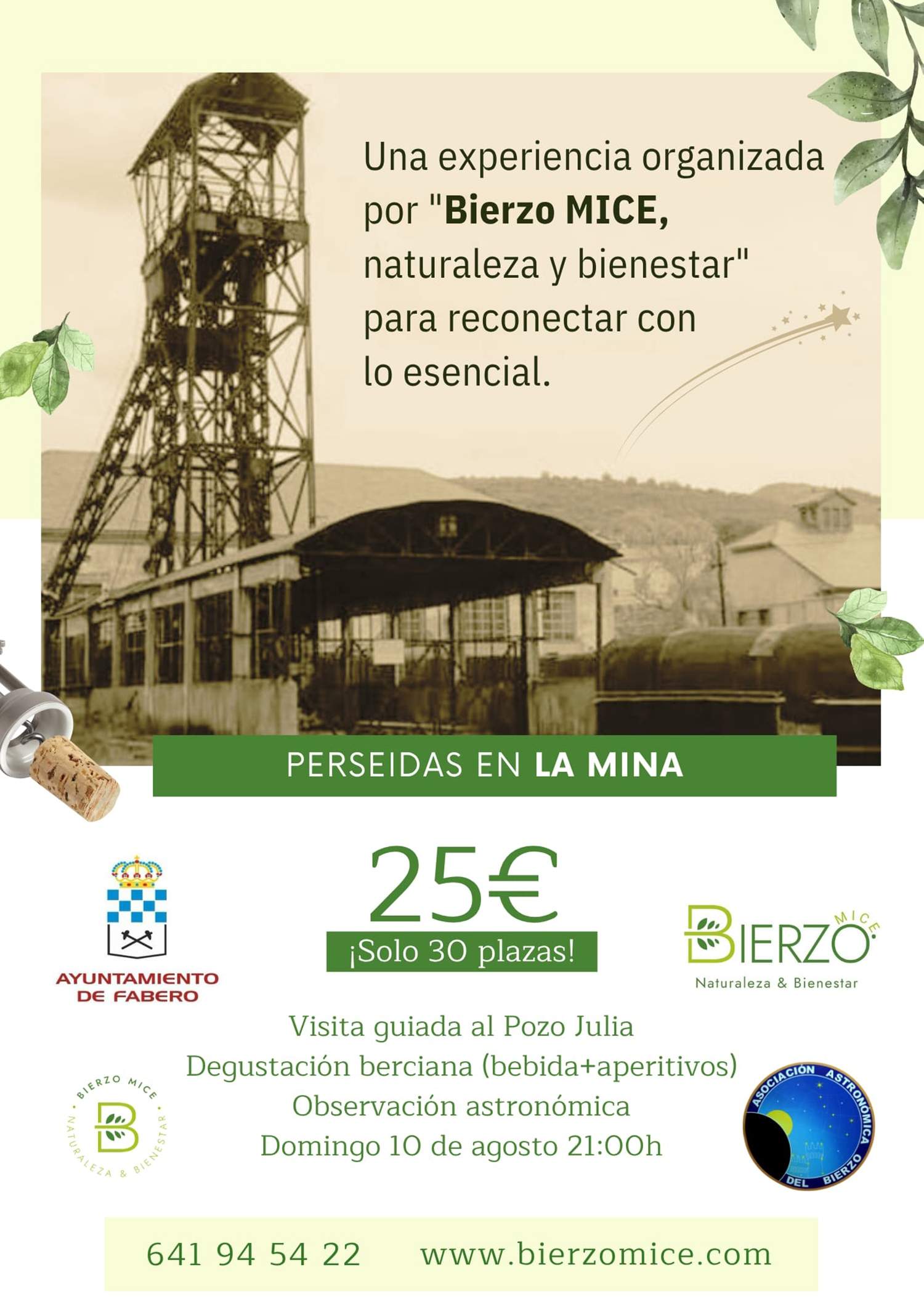 Las Perseidas en Fabero