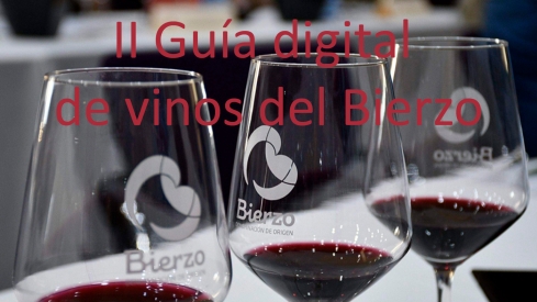 Guía de vinos del Bierzo